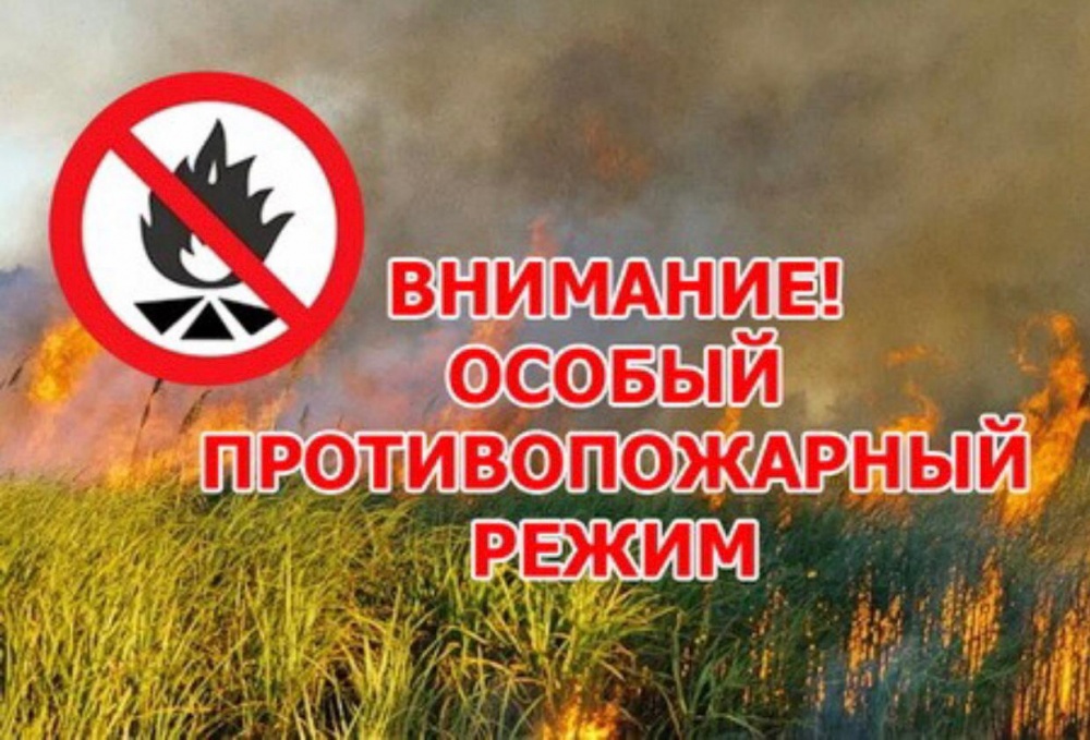 В Ульяновской области введен особый противопожарный режим.